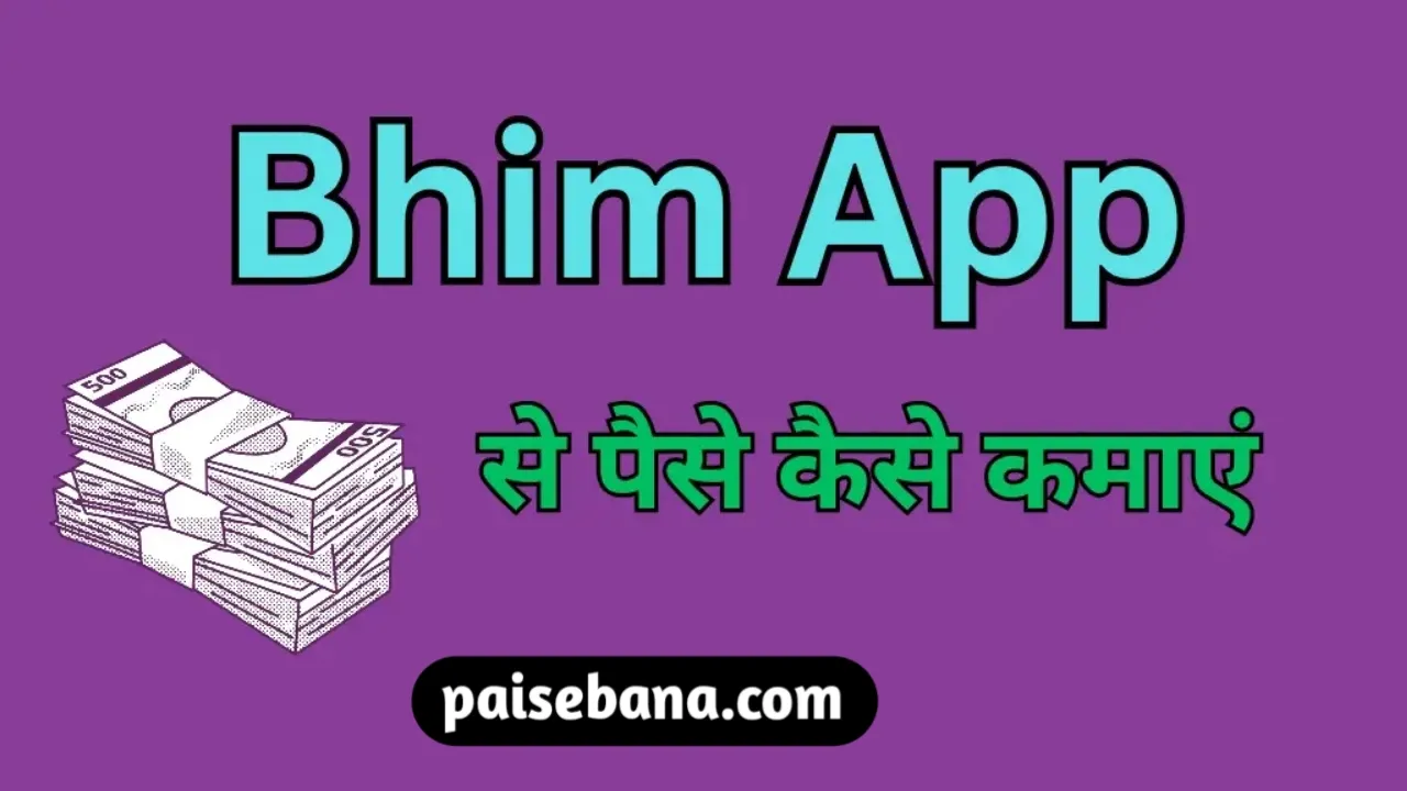 Bhim App Se Paise Kaise Kamaye